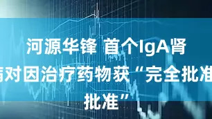 河源华锋 首个IgA肾病对因治疗药物获“完全批准”