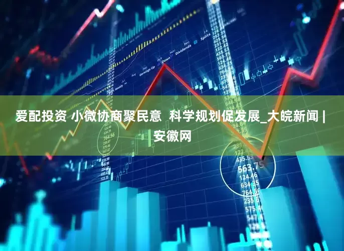 爱配投资 小微协商聚民意  科学规划促发展_大皖新闻 | 安徽网