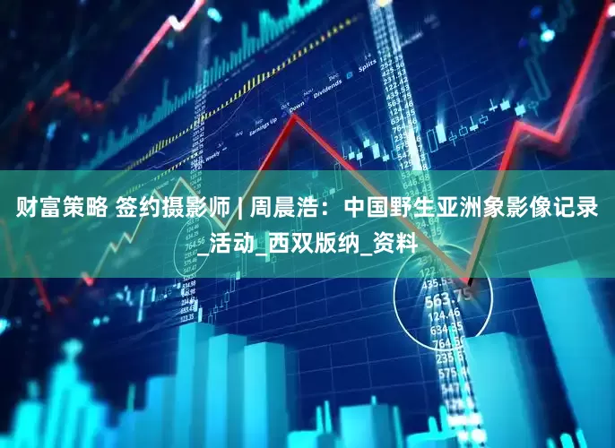 财富策略 签约摄影师 | 周晨浩：中国野生亚洲象影像记录_活动_西双版纳_资料