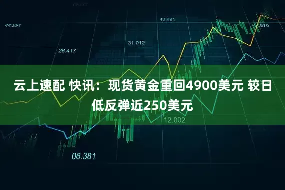 云上速配 快讯：现货黄金重回4900美元 较日低反弹近250美元